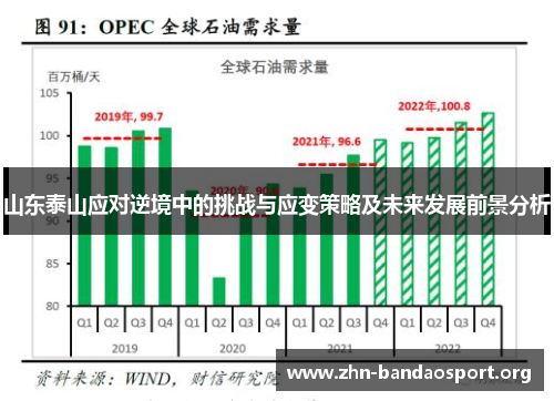 山东泰山应对逆境中的挑战与应变策略及未来发展前景分析