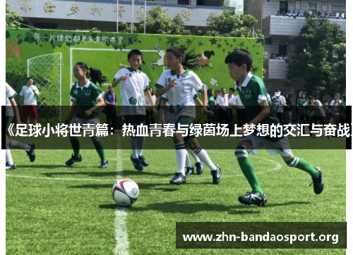 《足球小将世青篇：热血青春与绿茵场上梦想的交汇与奋战》
