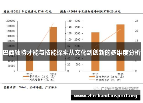 巴西独特才能与技能探索从文化到创新的多维度分析